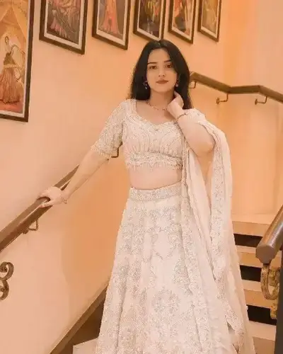 Escort Service In Nawagarh